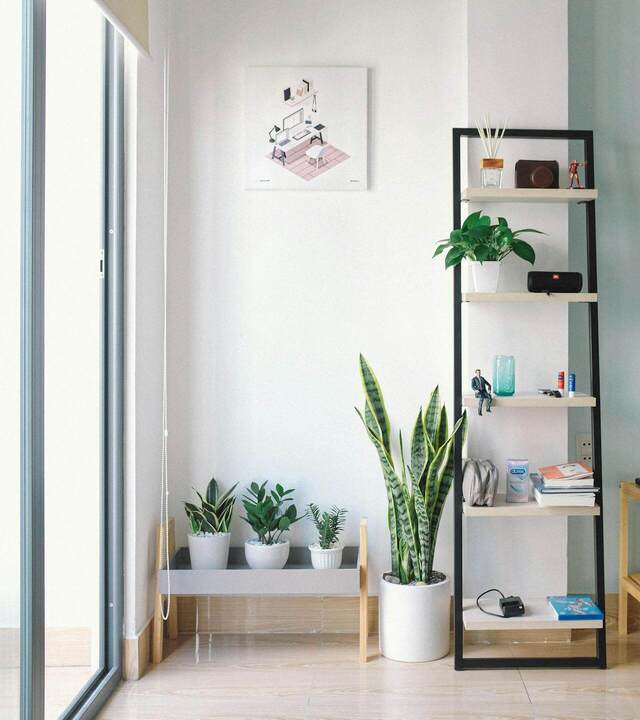 organised bedroom area with plants. weekend reset. weekend reset routine. wellness retreat. Bedroom retreat ideas. wellness retreat. home retreat ideas. Refreshed. self care weekend. self care weekend ideas. how to have a self care weekend.